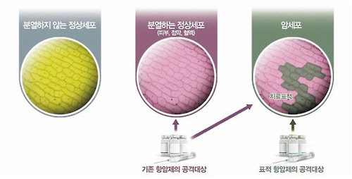 표적항암제의 원리[서울대병원 제공=연합뉴스]